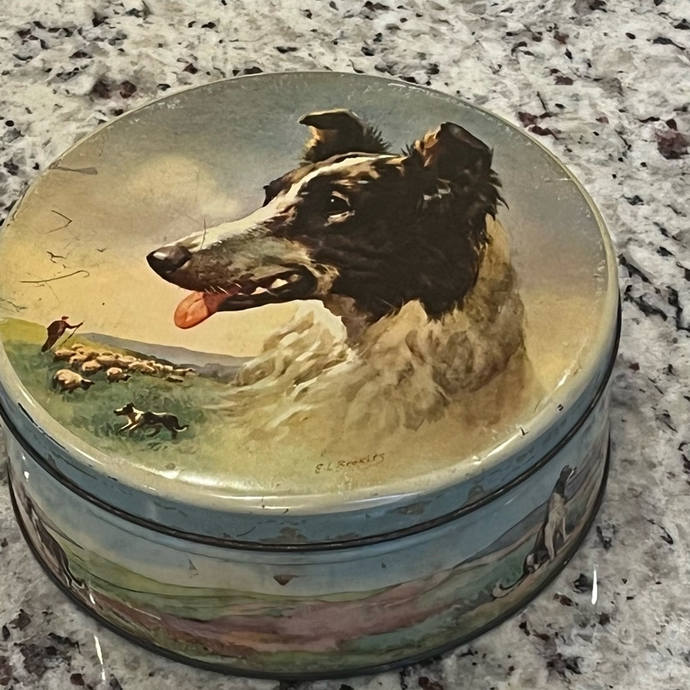 Vintage Border Collie Dog-Themed Tin Container